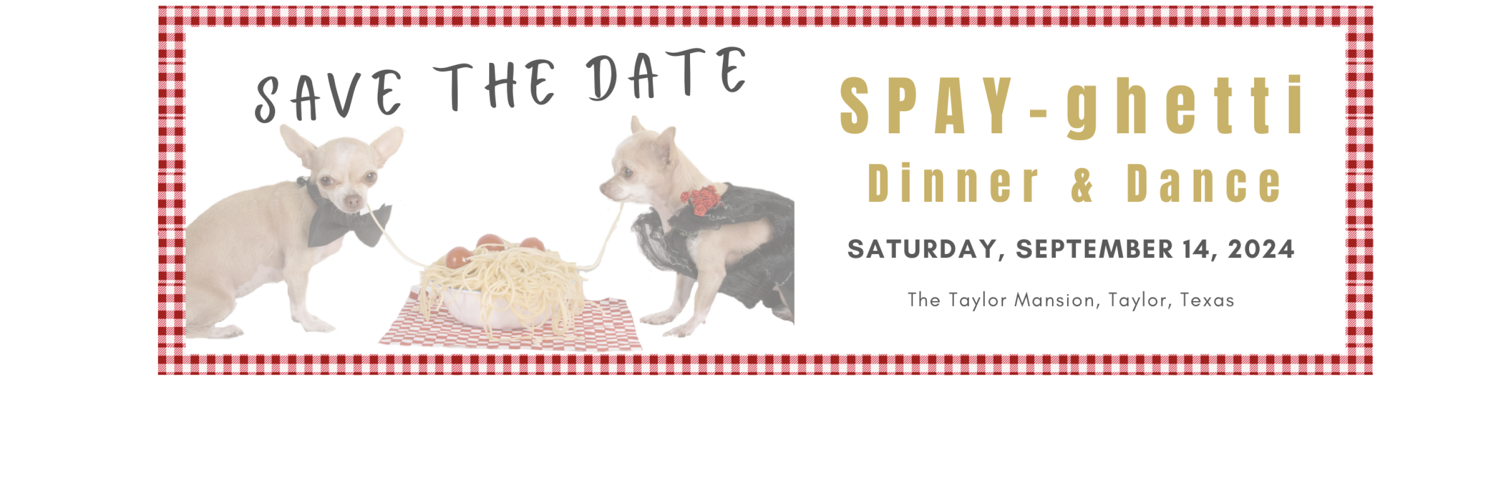 SPAY-ghetti Save the Date 2024